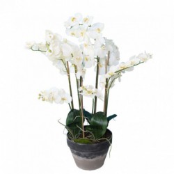 PHALAENOPSIS ARTIFICIELLE EN POT - 105(h)