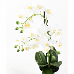Phalaenopsis Artificielle Pot - 55(h)