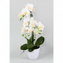 PHALAENOPSIS ARTIFICIELLE POT - 60(h)