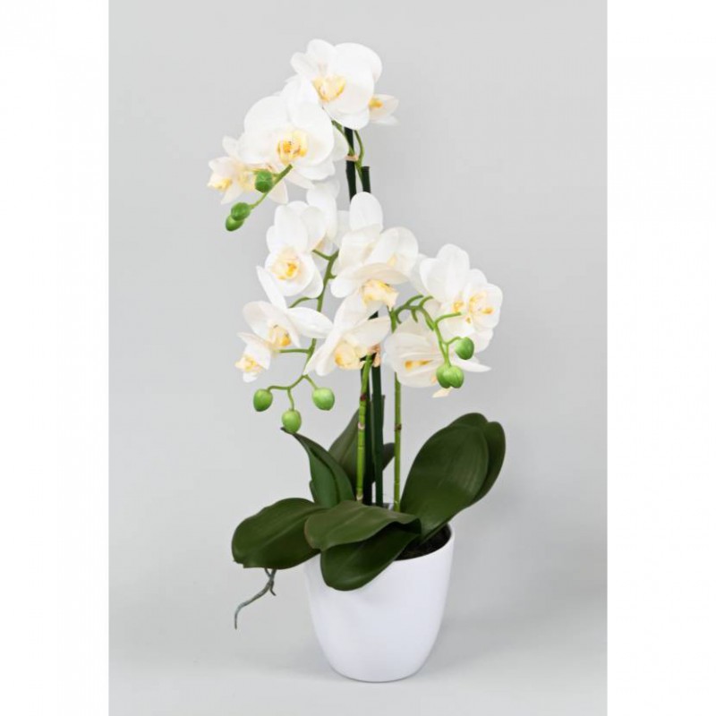 PHALAENOPSIS ARTIFICIELLE POT - 60(h)