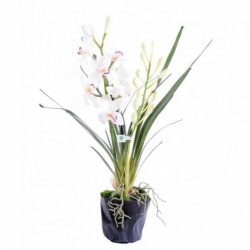 CYMBIDIUM ARTIFICIEL PLANTE