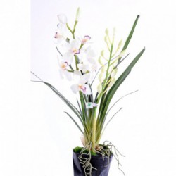 Cymbidium Artificiel Plante