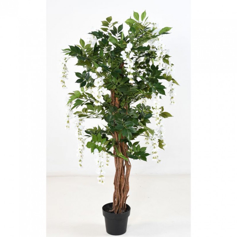 GLYCINE ARTIFICIELLE