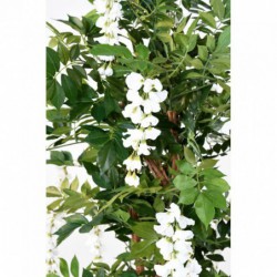 Glycine Artificielle