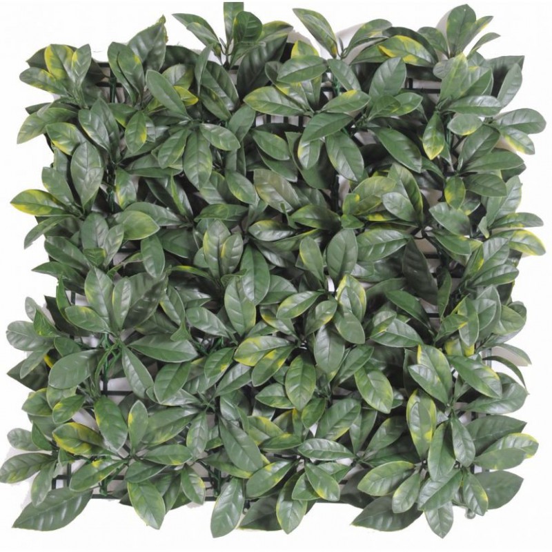 Cornouiller Artificiel Plaque 50*50 - Plaque végétale mur artificiel