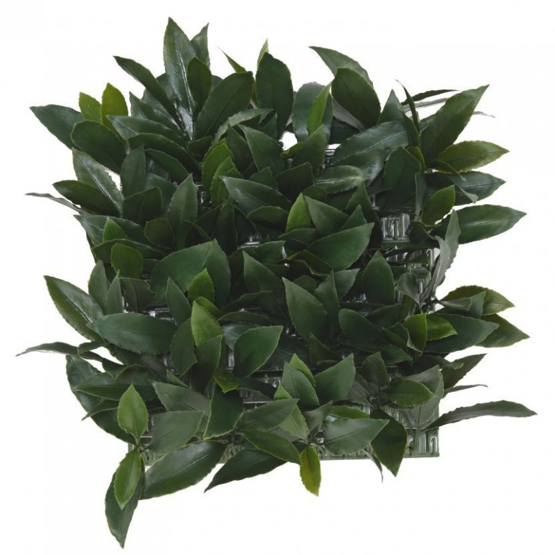 Laurier Nobilis Artificiel Plaque UV - Mur artificiel laurier
