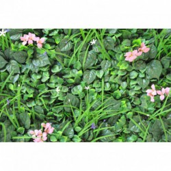 Mur Artificiel Plaque B