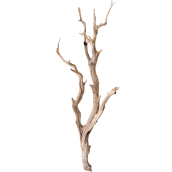 Decowood Ghostwood Sandblasted 150 - Bois flotté décoratif