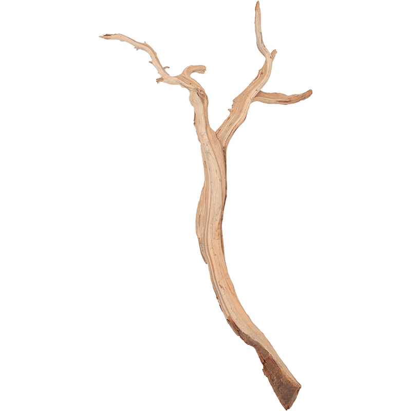 Decowood Ghostwood Sandblasted 180 - Décoration Bois