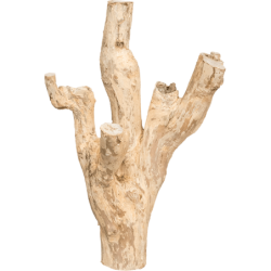 Decowood Coffea Souche 30 -  Bois flotté décoratif