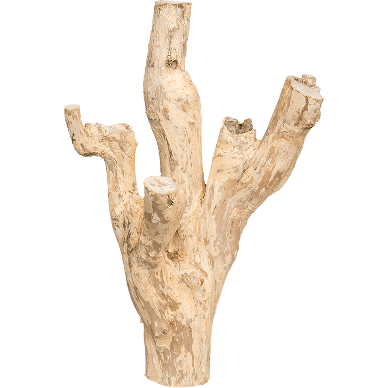 Decowood Coffea Souche 30 -  Bois flotté décoratif