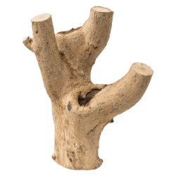 Decowood Coffea Souche 22 - Bois flotté décoratif