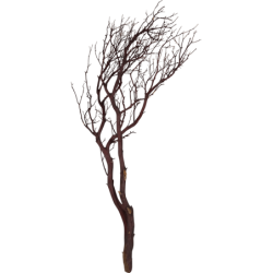 Decowood Manzanita -  Bois déco maison