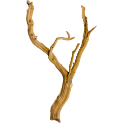 Decowood Ghostwood Sandblasted 75 - Bois flotté décoration