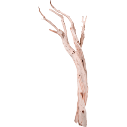 Decowood Ghostwood Sandblasted 210 - Bois flotté déco