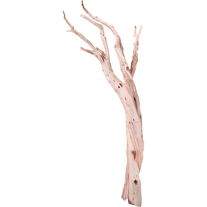 Decowood Ghostwood Sandblasted 210 - Bois flotté déco