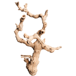 Decowood Grapewood - Bois décoratif intérieur