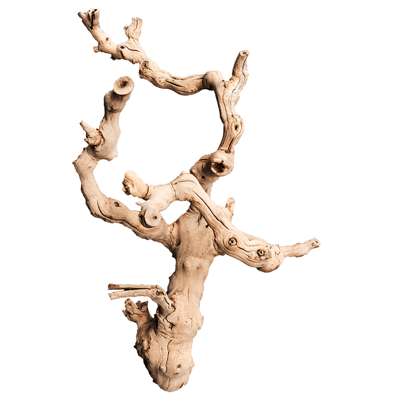 Decowood Grapewood - Bois décoratif intérieur