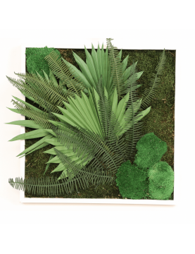 Cadre végétal stabilisé décoratif