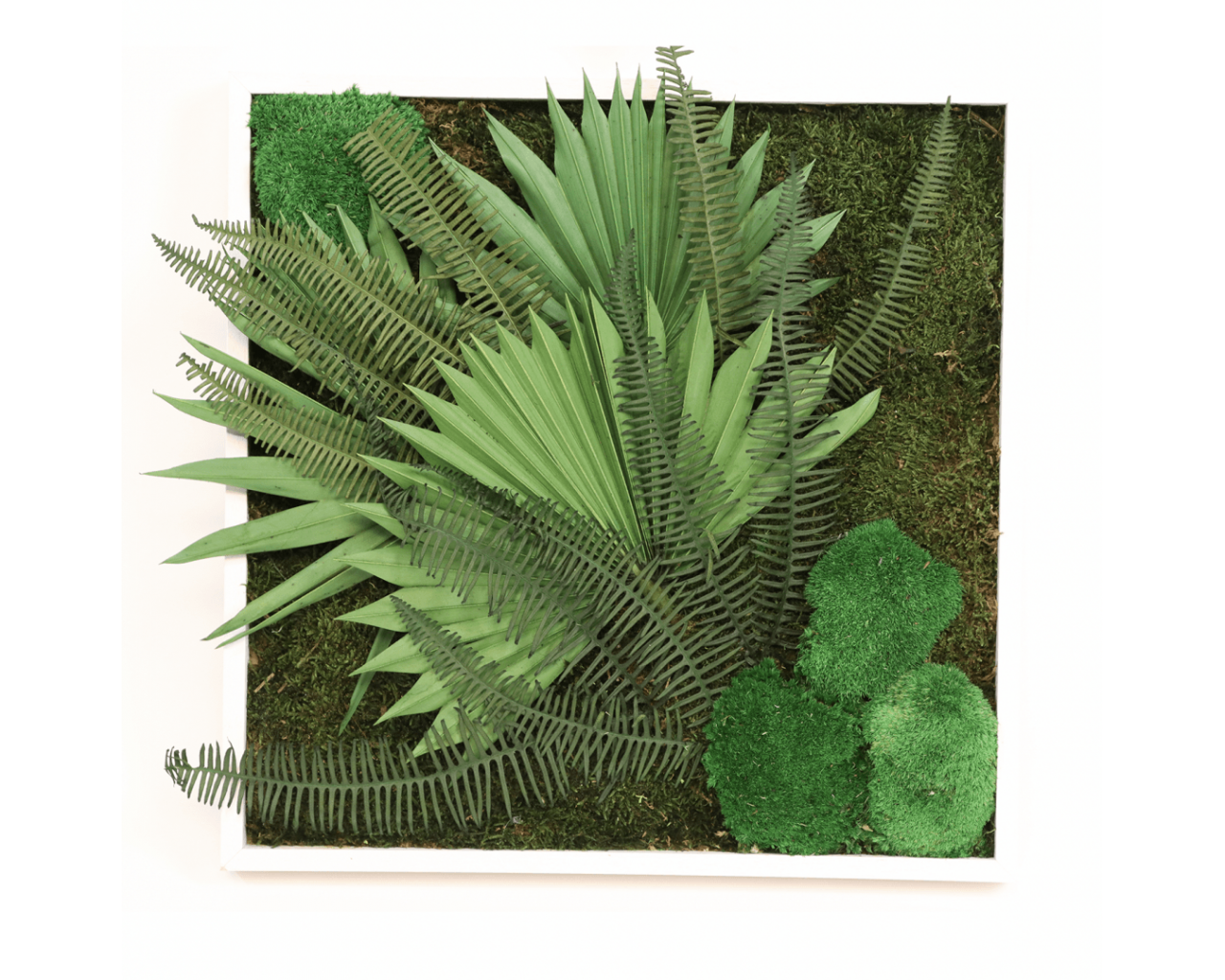 Cadre végétal stabilisé décoratif