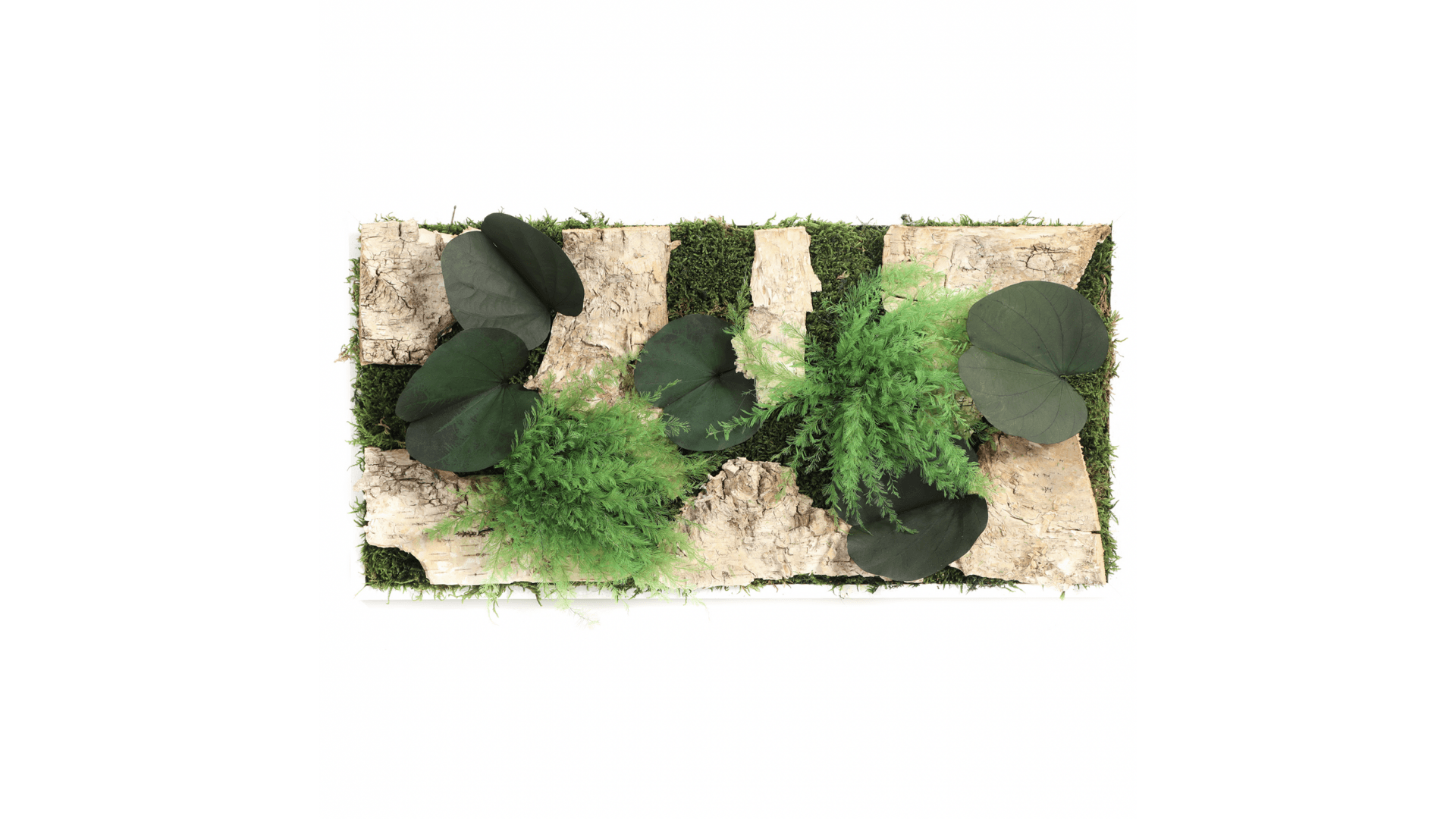 Tableau végétal bois et nature