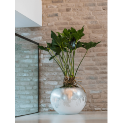 Luxe Lite Glossy Globe Argent