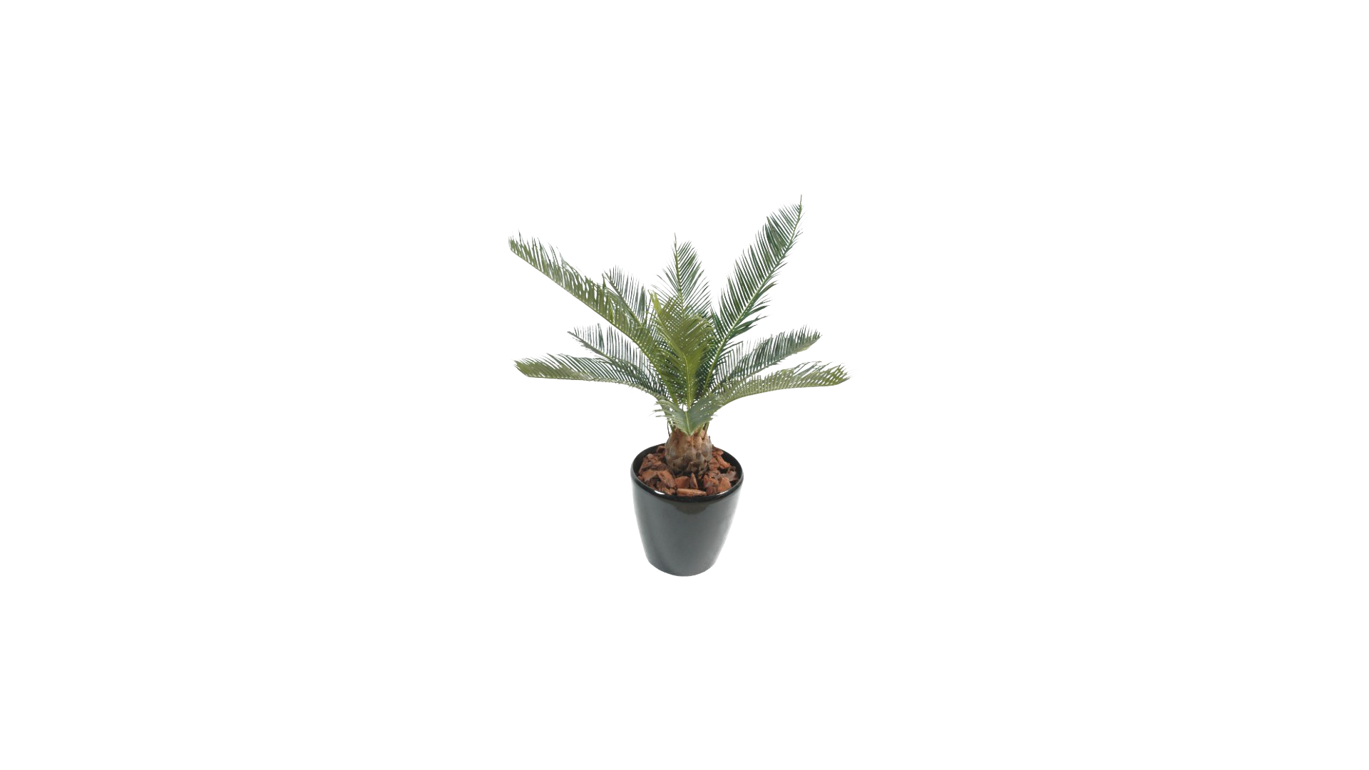 Cycas Artificiel Baby