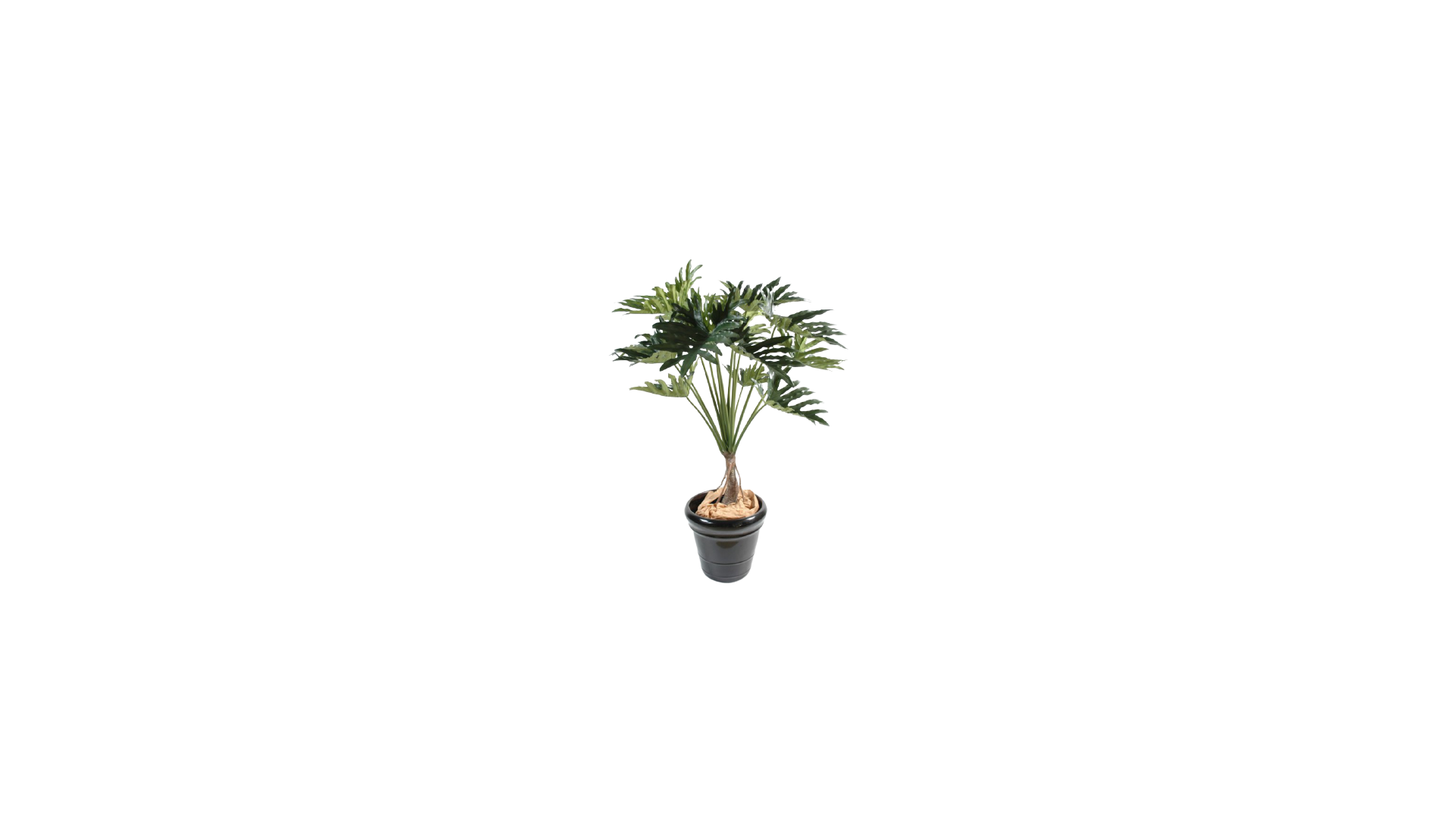 PHILODENDRON ARTIFICIEL SELLOUM