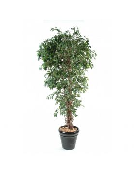 Ficus Artificiel Lianes Pf - Arbre artificiel intérieur