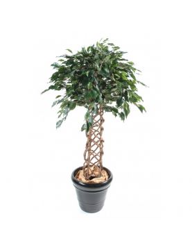 Ficus Artificiel Cage - Arbre artificiel haut de gamme intérieur