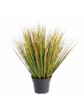 Onion Artificiel Grass Round Gf - 75(h)