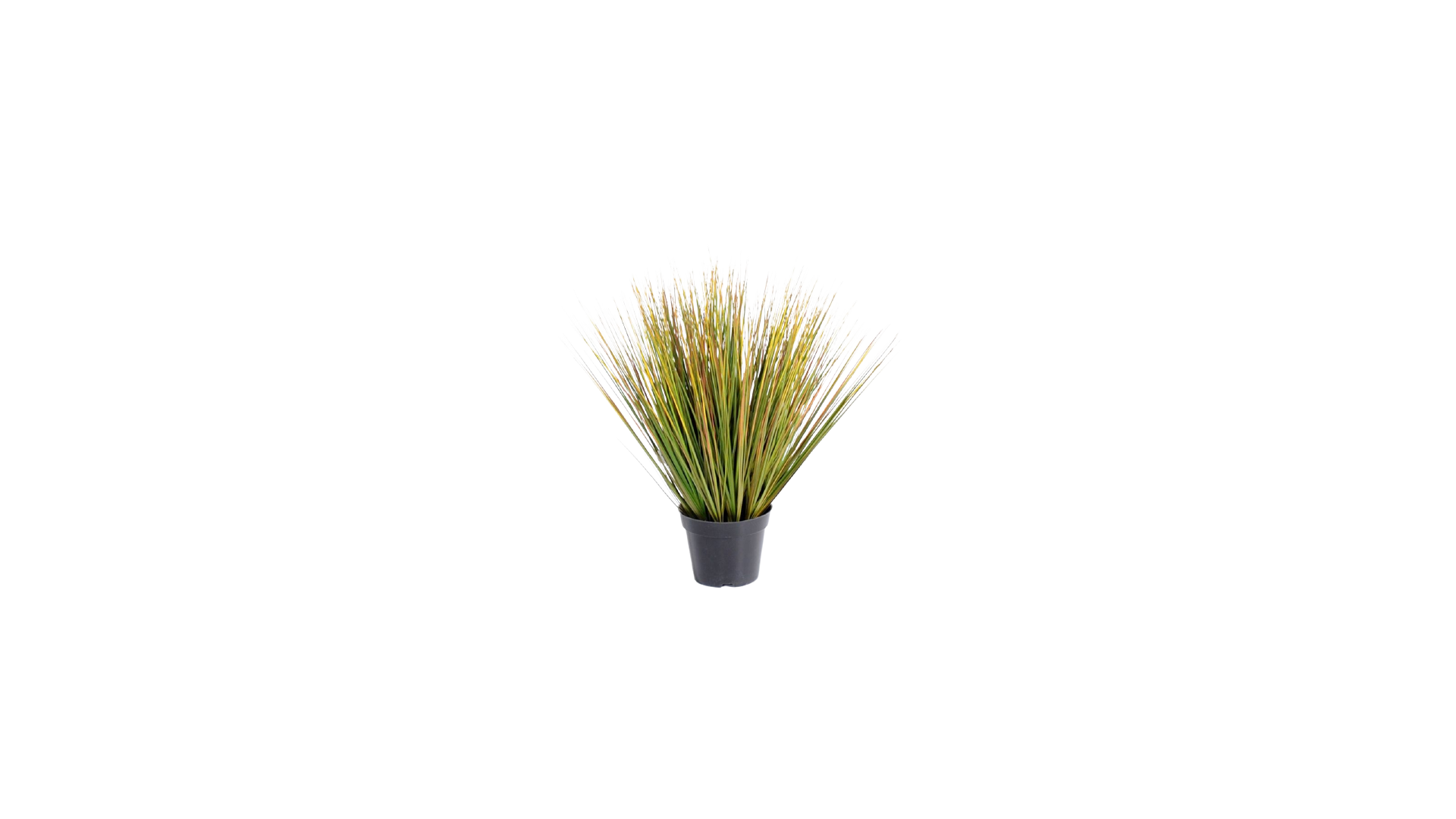 Onion Artificiel Grass Round Gf - 75(h)