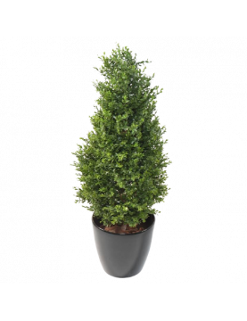 Buis Artificiel "red Day" Topiaire Uv - 125(h)