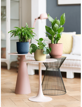 Ensemble pots de fleur colorés