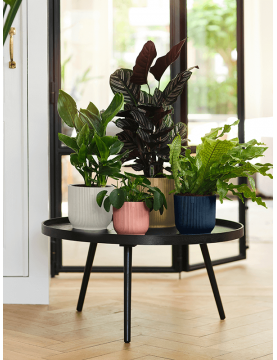 Petits pots design pour table et meuble