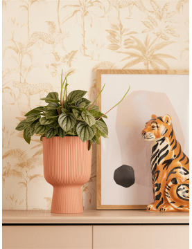 Pot design pour plante