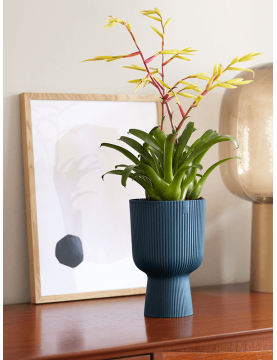 Petit pot pour petite plante