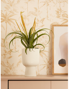 Coupe végétale originale elho