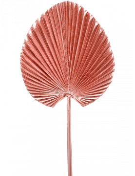 Feuille Palmier Rose (lot de 2) - Feuillage végétal artificiel