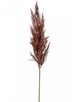 Herbe Pampa Marron (lot de 2) - Pampa décorative artificielle