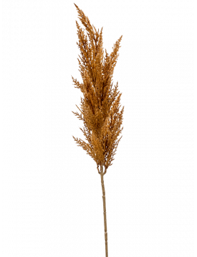 Herbe Pampa Orange (lot de 2) - 115cm - Branchage décoratif