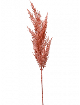 Herbe Pampa Rose (lot de 2) - 115cm - Pampa artificielle décorative
