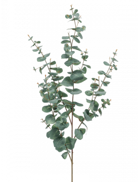 Branche Eucalyptus (lot de 2) - Branchage décoratif