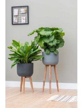 Ensemble de pots de fleur sur pied