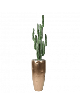 Capus | composition végétale