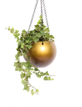 Gradièrou | composition végétale