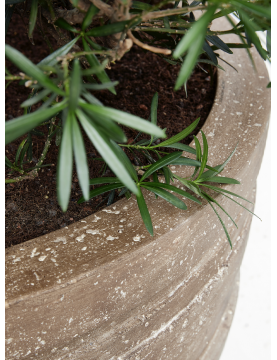 Pot finition de qualité supérieure