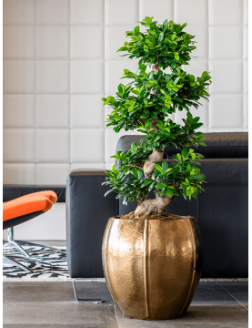 Pot de fleur en céramique doré