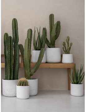 Ensemble de petits pots design