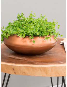 Coupe de fleurs couleur cuivre